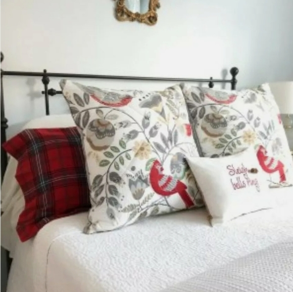 Pottery Barn RARE Jolly Bird Quilted EURO shams (2 shams) - Picture 4 of 8